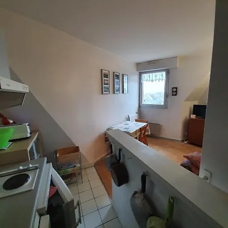 Apartment Flat With Swimming Pool Direct Access To Sea *